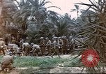 Image of 1st Division soldiers Africa, 1942, second 9 stock footage video 65675060792