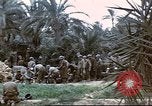 Image of 1st Division soldiers Africa, 1942, second 11 stock footage video 65675060792