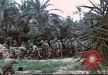 Image of 1st Division soldiers Africa, 1942, second 13 stock footage video 65675060792