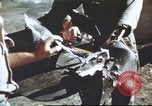 Standbild Vereinigten Staaten Truppen Gela Sizilien Italien, 1943, aus Sekunde 18 historischem Filmmaterial Videoclip 65675060801
