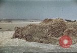 Standbild Vereinigten Staaten Truppen Gela Sizilien Italien, 1943, aus Sekunde 31 historischem Filmmaterial Videoclip 65675060801