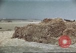 Standbild Vereinigten Staaten Truppen Gela Sizilien Italien, 1943, aus Sekunde 32 historischem Filmmaterial Videoclip 65675060801