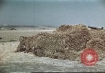 Standbild Vereinigten Staaten Truppen Gela Sizilien Italien, 1943, aus Sekunde 33 historischem Filmmaterial Videoclip 65675060801
