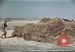 Standbild Vereinigten Staaten Truppen Gela Sizilien Italien, 1943, aus Sekunde 34 historischem Filmmaterial Videoclip 65675060801