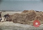 Standbild Vereinigten Staaten Truppen Gela Sizilien Italien, 1943, aus Sekunde 35 historischem Filmmaterial Videoclip 65675060801