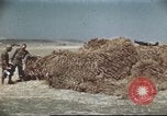 Standbild Vereinigten Staaten Truppen Gela Sizilien Italien, 1943, aus Sekunde 36 historischem Filmmaterial Videoclip 65675060801