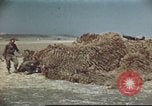 Standbild Vereinigten Staaten Truppen Gela Sizilien Italien, 1943, aus Sekunde 37 historischem Filmmaterial Videoclip 65675060801