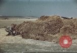 Standbild Vereinigten Staaten Truppen Gela Sizilien Italien, 1943, aus Sekunde 38 historischem Filmmaterial Videoclip 65675060801