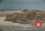 Standbild Vereinigten Staaten Truppen Gela Sizilien Italien, 1943, aus Sekunde 39 historischem Filmmaterial Videoclip 65675060801
