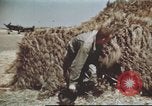 Standbild Vereinigten Staaten Truppen Gela Sizilien Italien, 1943, aus Sekunde 43 historischem Filmmaterial Videoclip 65675060801