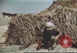 Standbild Vereinigten Staaten Truppen Gela Sizilien Italien, 1943, aus Sekunde 46 historischem Filmmaterial Videoclip 65675060801
