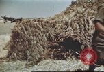 Standbild Vereinigten Staaten Truppen Gela Sizilien Italien, 1943, aus Sekunde 47 historischem Filmmaterial Videoclip 65675060801