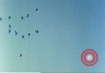 Immagine di Stati Uniti cacciatorpediniere Salerno Italia, 1943, secondo 30 filmato di repertorio 65675060808