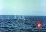 Standbild USA Destroyer Escort Salerno Italien, 1943, aus Sekunde 23 historischem Filmmaterial Videoclip 65675060811