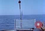 Standbild deutsche Flugzeuge Anzio Italien, 1944, aus Sekunde 20 historischem Filmmaterial Videoclip 65675060821