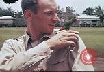 Image le US Army 17e Escadron à Nichols champ poursuite Philippines, 1941, de la seconde 5 séquences d'archives historiques vidéo 65675060832