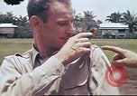Image le US Army 17e Escadron à Nichols champ poursuite Philippines, 1941, de la seconde 6 séquences d'archives historiques vidéo 65675060832