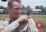 Image le US Army 17e Escadron à Nichols champ poursuite Philippines, 1941, de la seconde 8 séquences d'archives historiques vidéo 65675060832