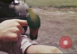 Image le US Army 17e Escadron à Nichols champ poursuite Philippines, 1941, de la seconde 30 séquences d'archives historiques vidéo 65675060832