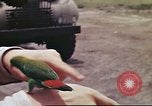 Image le US Army 17e Escadron à Nichols champ poursuite Philippines, 1941, de la seconde 32 séquences d'archives historiques vidéo 65675060832
