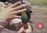 Image le US Army 17e Escadron à Nichols champ poursuite Philippines, 1941, de la seconde 35 séquences d'archives historiques vidéo 65675060832