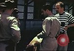 Image le US Army 17e Escadron à Nichols champ poursuite Philippines, 1941, de la seconde 46 séquences d'archives historiques vidéo 65675060832