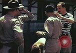 Image le US Army 17e Escadron à Nichols champ poursuite Philippines, 1941, de la seconde 49 séquences d'archives historiques vidéo 65675060832