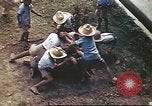 Image Activités au Philippine Air Force Base aérienne de Batangas Batangas, Philippines, 1941, de la seconde 34 séquences d'archives historiques vidéo 65675060833