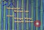 Standbild animierte Abbildung United States USA, 1941, aus Sekunde 39 historischem Filmmaterial Videoclip 65675060836