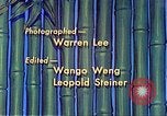 Standbild animierte Abbildung United States USA, 1941, aus Sekunde 41 historischem Filmmaterial Videoclip 65675060836