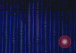 Image of Chinese laborers China, 1941, second 1 stock footage video 65675060838