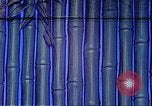 Image of Chinese laborers China, 1941, second 14 stock footage video 65675060838