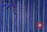 Image of Chinese laborers China, 1941, second 21 stock footage video 65675060838
