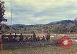 Standbild USA Flugzeuge China-Burma-Indien Theater, 1943, aus Sekunde 58 historischem Filmmaterial Videoclip 65675060851
