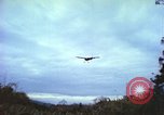 Image of small planes land and take off China-Burma-India Theater, 1943, second 29 stock footage video 65675060852