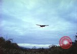 Image of small planes land and take off China-Burma-India Theater, 1943, second 30 stock footage video 65675060852