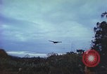Image of small planes land and take off China-Burma-India Theater, 1943, second 39 stock footage video 65675060852
