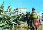 Image of Farmers using animals for transportation Europe, 1950, second 20 stock footage video 65675060860