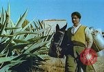 Image of Farmers using animals for transportation Europe, 1950, second 22 stock footage video 65675060860