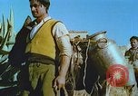 Image of Farmers using animals for transportation Europe, 1950, second 24 stock footage video 65675060860