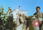 Image of Farmers using animals for transportation Europe, 1950, second 27 stock footage video 65675060860