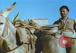 Image of Farmers using animals for transportation Europe, 1950, second 28 stock footage video 65675060860