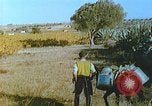 Image of Farmers using animals for transportation Europe, 1950, second 29 stock footage video 65675060860