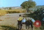 Image of Farmers using animals for transportation Europe, 1950, second 30 stock footage video 65675060860