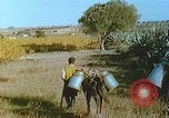Image of Farmers using animals for transportation Europe, 1950, second 31 stock footage video 65675060860