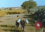 Image of Farmers using animals for transportation Europe, 1950, second 32 stock footage video 65675060860