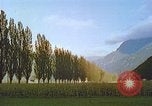 Image of Farmers using animals for transportation Europe, 1950, second 58 stock footage video 65675060860