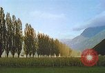Image of Farmers using animals for transportation Europe, 1950, second 59 stock footage video 65675060860