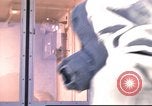 Image of soldier Utah United States USA, 1976, second 29 stock footage video 65675060866