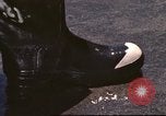 Image of United States airmen California United States USA, 1976, second 7 stock footage video 65675060869